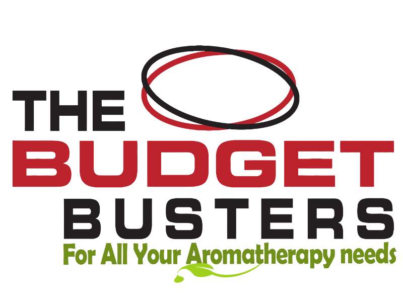 The Budget Busters