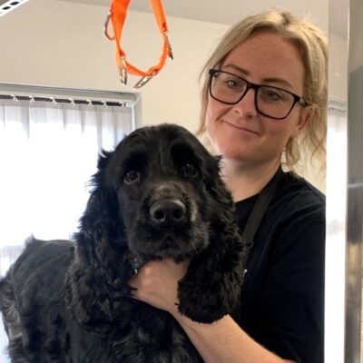 TVBC - Bliss Dog Grooming