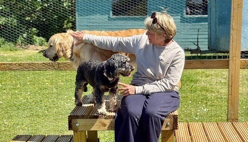The Running With Dogs Company Expands with Relaxing New Dog Lounge